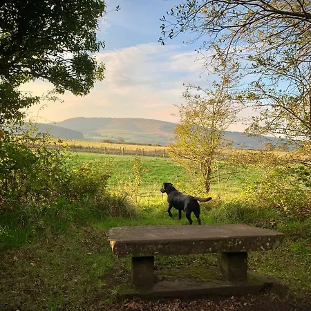 Dom wakacyjny Lilac - Fell Views & Walks From The Door