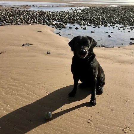 Dom wakacyjny Lilac - Fell Views & Walks From The Door